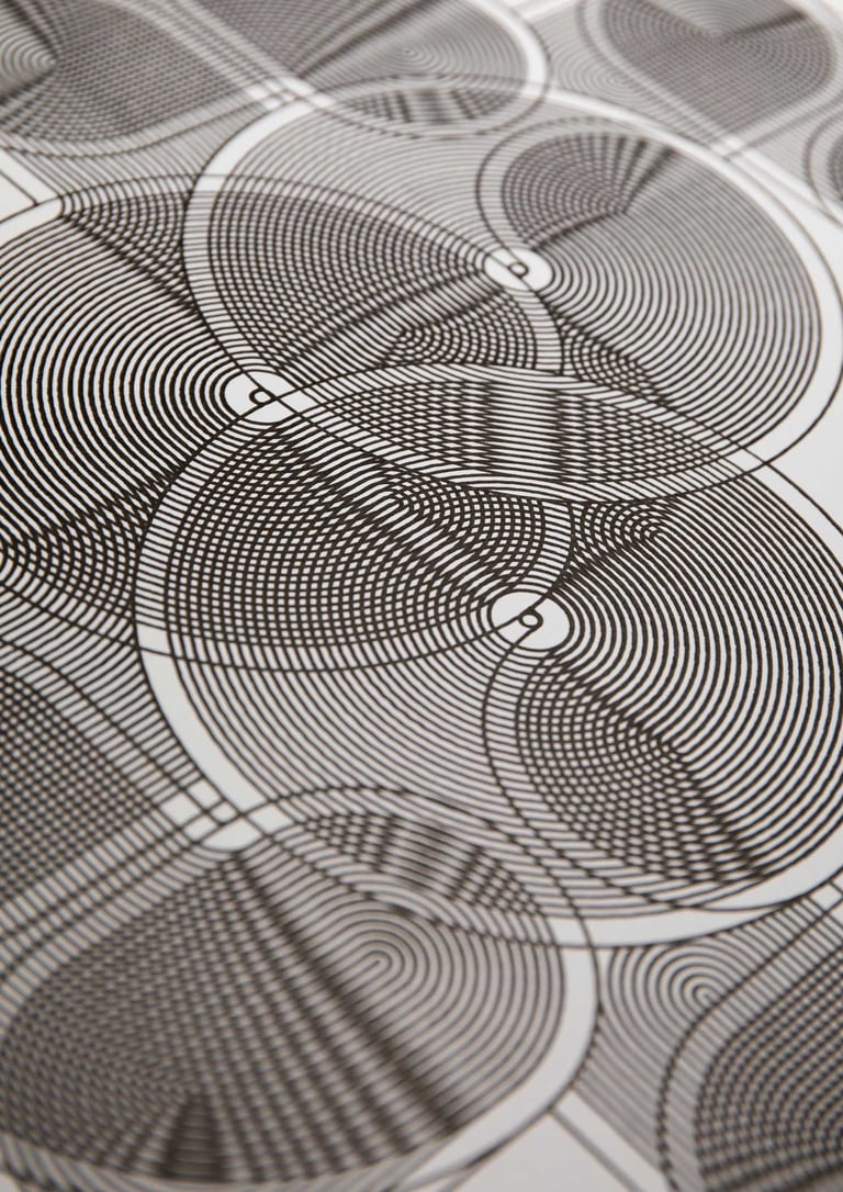✒️ Monochrome Moiré N°1