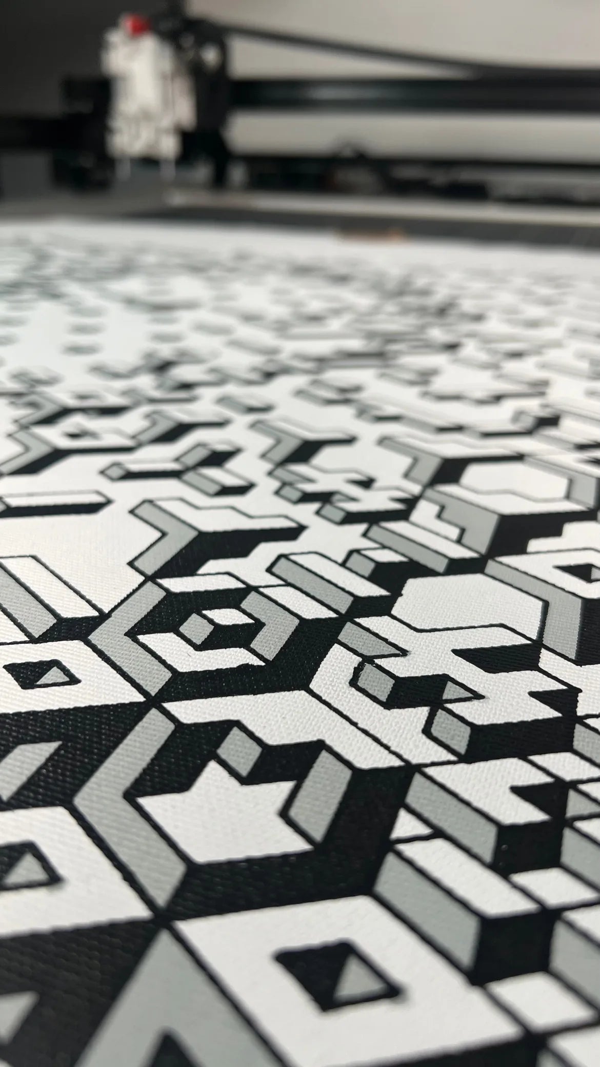 Marietta Blau detail